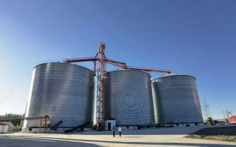 ਸਟੀਲ ਬਣਤਰ ਅਨਾਜ Silo